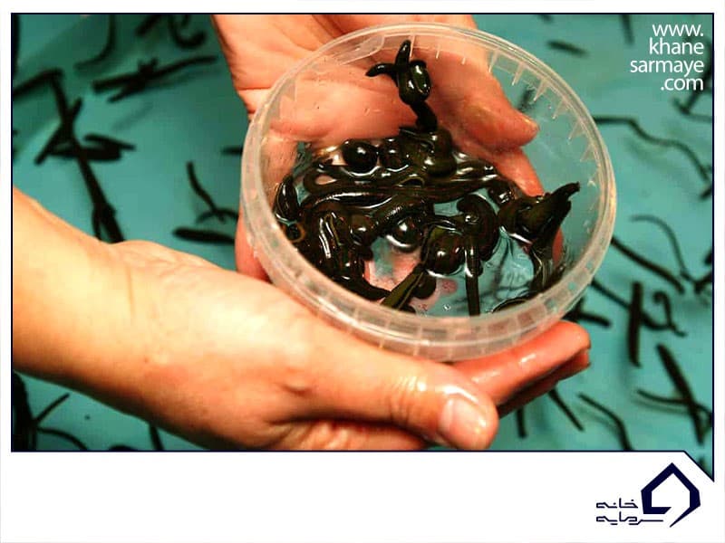 کسب و کار کسب و کار