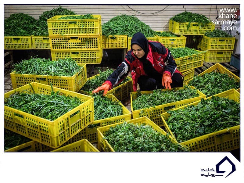 معرفی ۱۸ کسب و کار کوچک در ایران معرفی ۱۸ کسب و کار کوچک در ایران