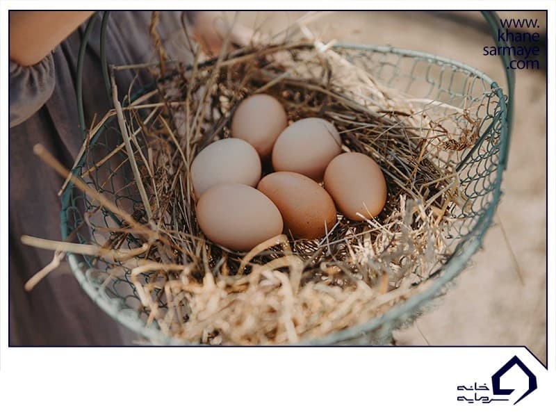 آموزش بورس آموزش بورس