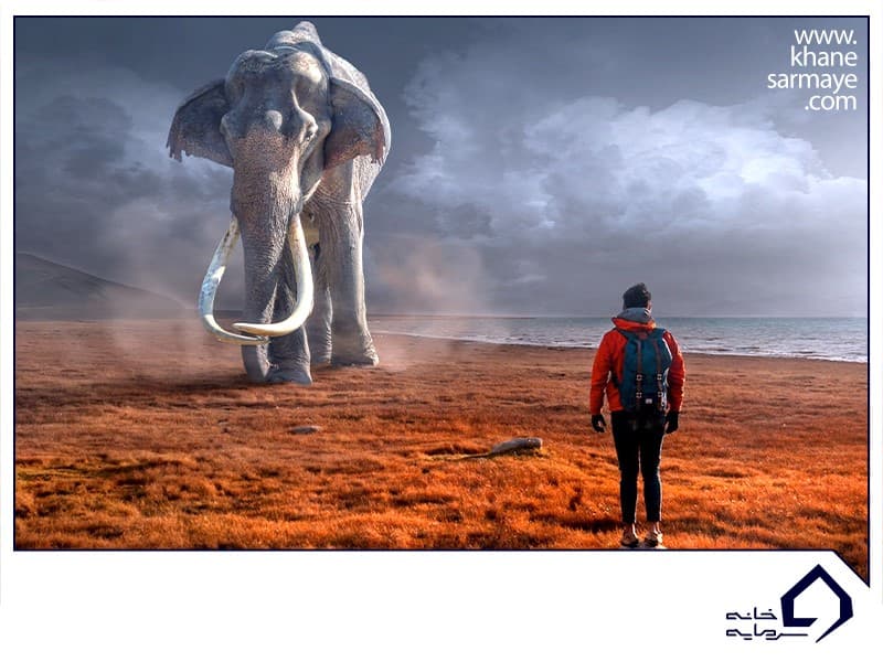 پس انداز پول پس انداز پول