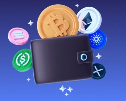انواع کیف پول ارز دیجیتال چیست انواع کیف پول ارز دیجیتال چیست